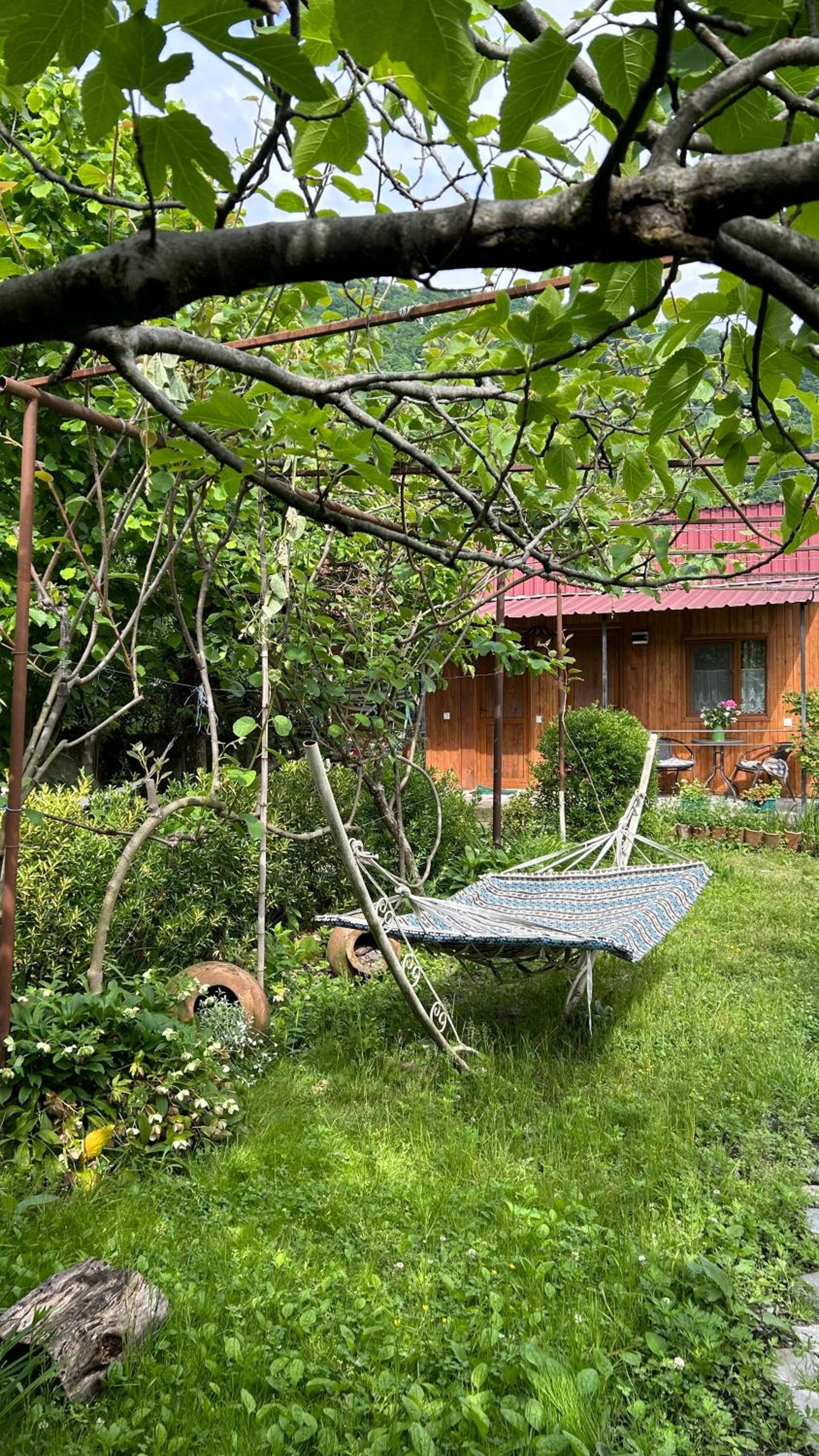 Ludwig Guesthouse view 2