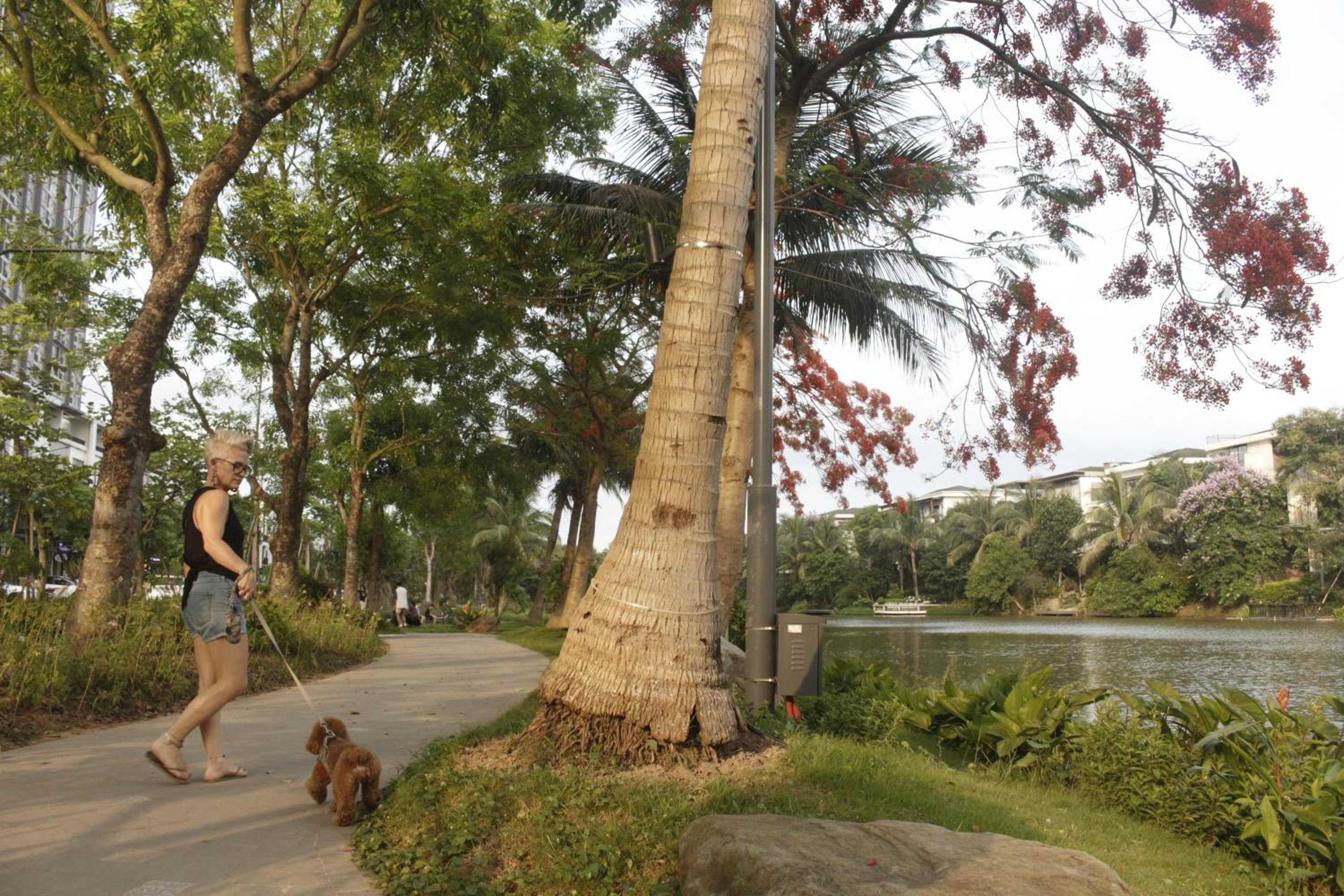 Sunset River Apartment - Ecopark