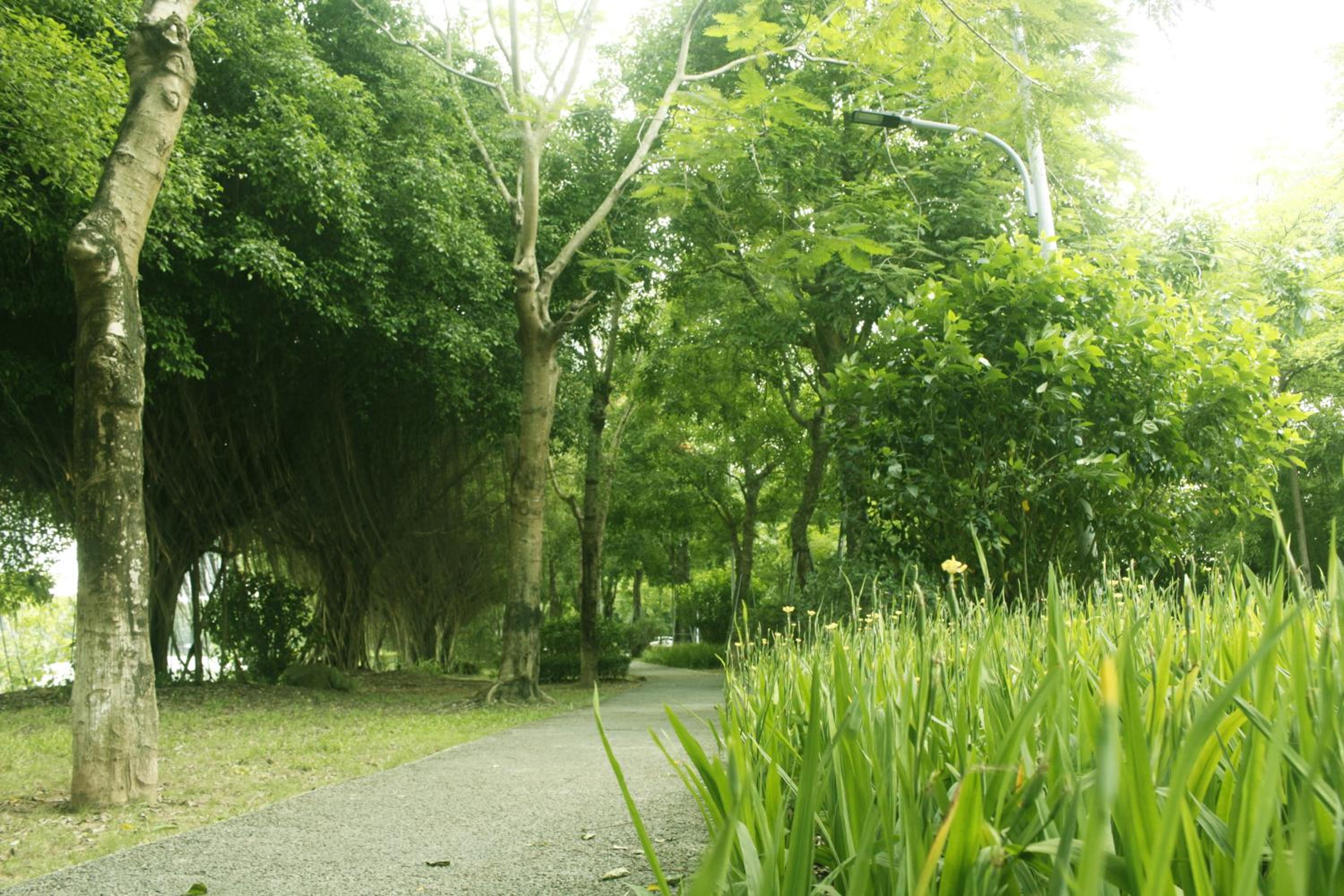 Sunset River Apartment - Ecopark