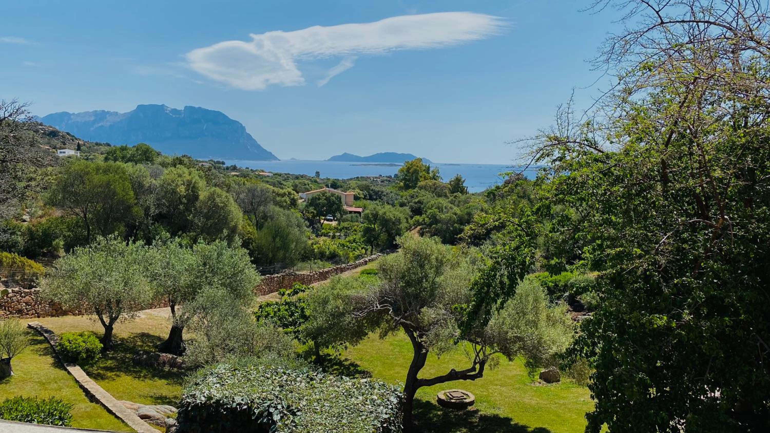 VISTA MARE