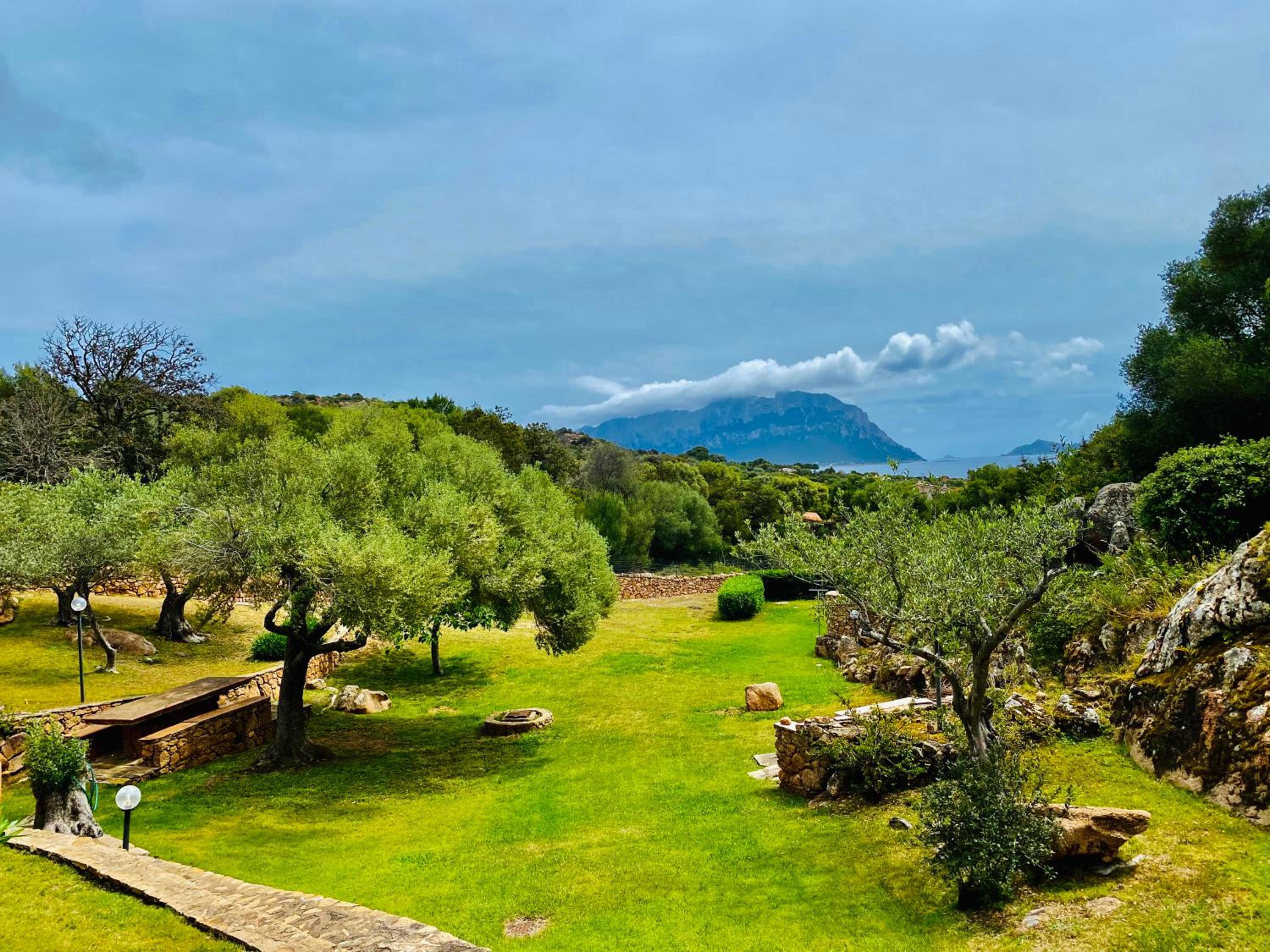 VISTA MARE