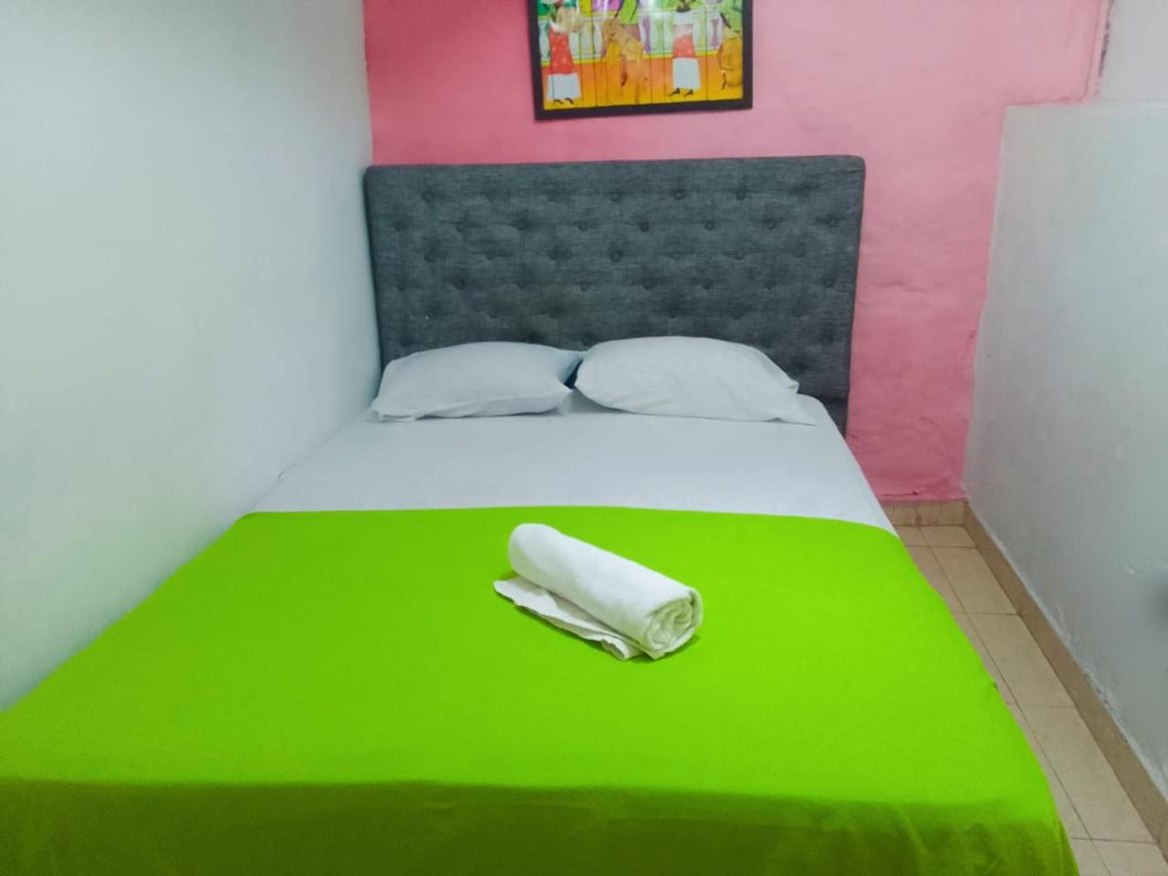 New Iguana House