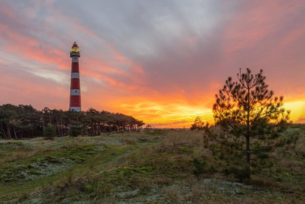 Amelanderkaap 31 met zwembad view 3