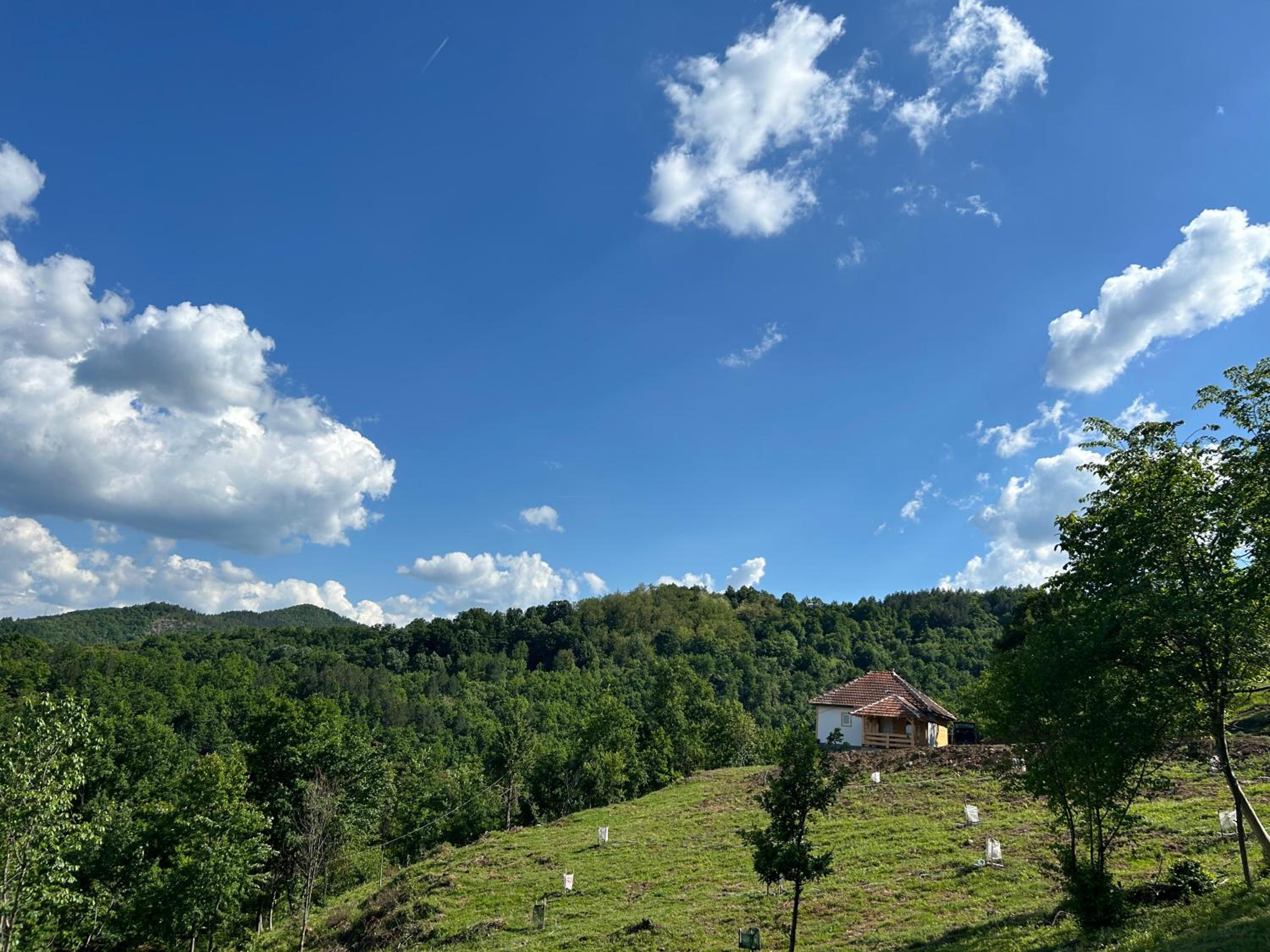 Šumska kuća Ilija view 5