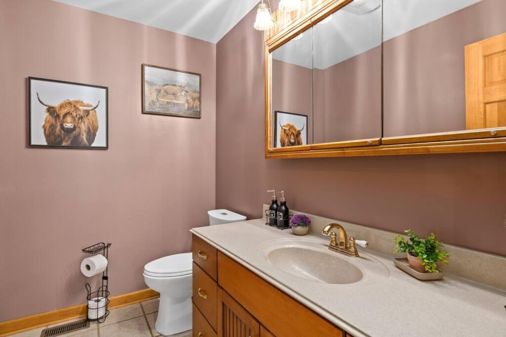 Photo 47