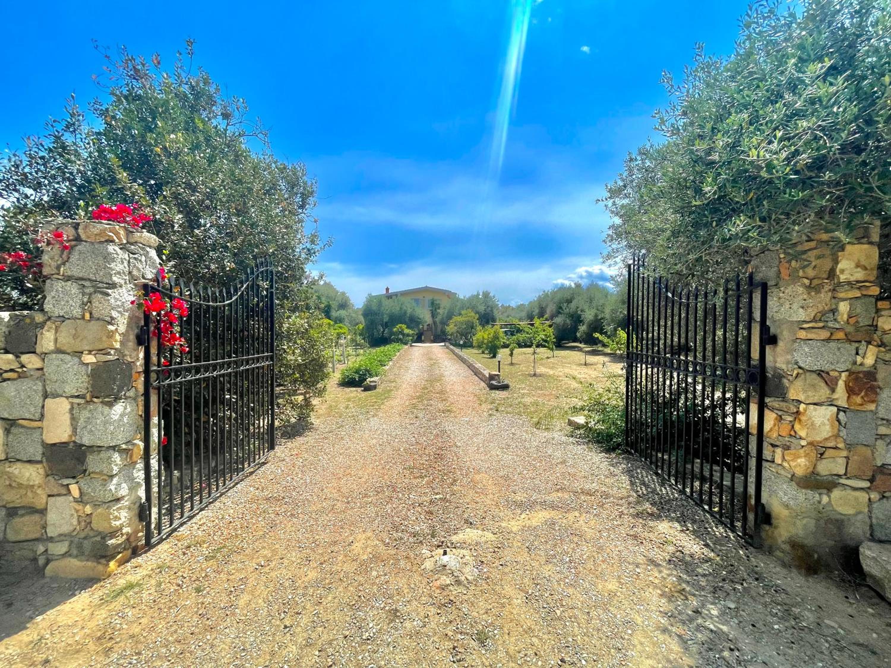Dreamy Countryside
