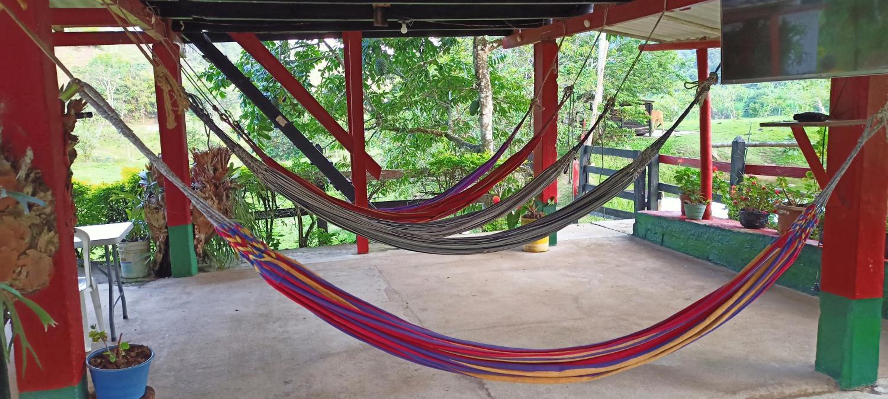 Munay Travel camp
