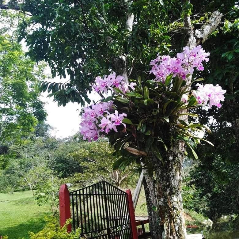 Munay Travel camp