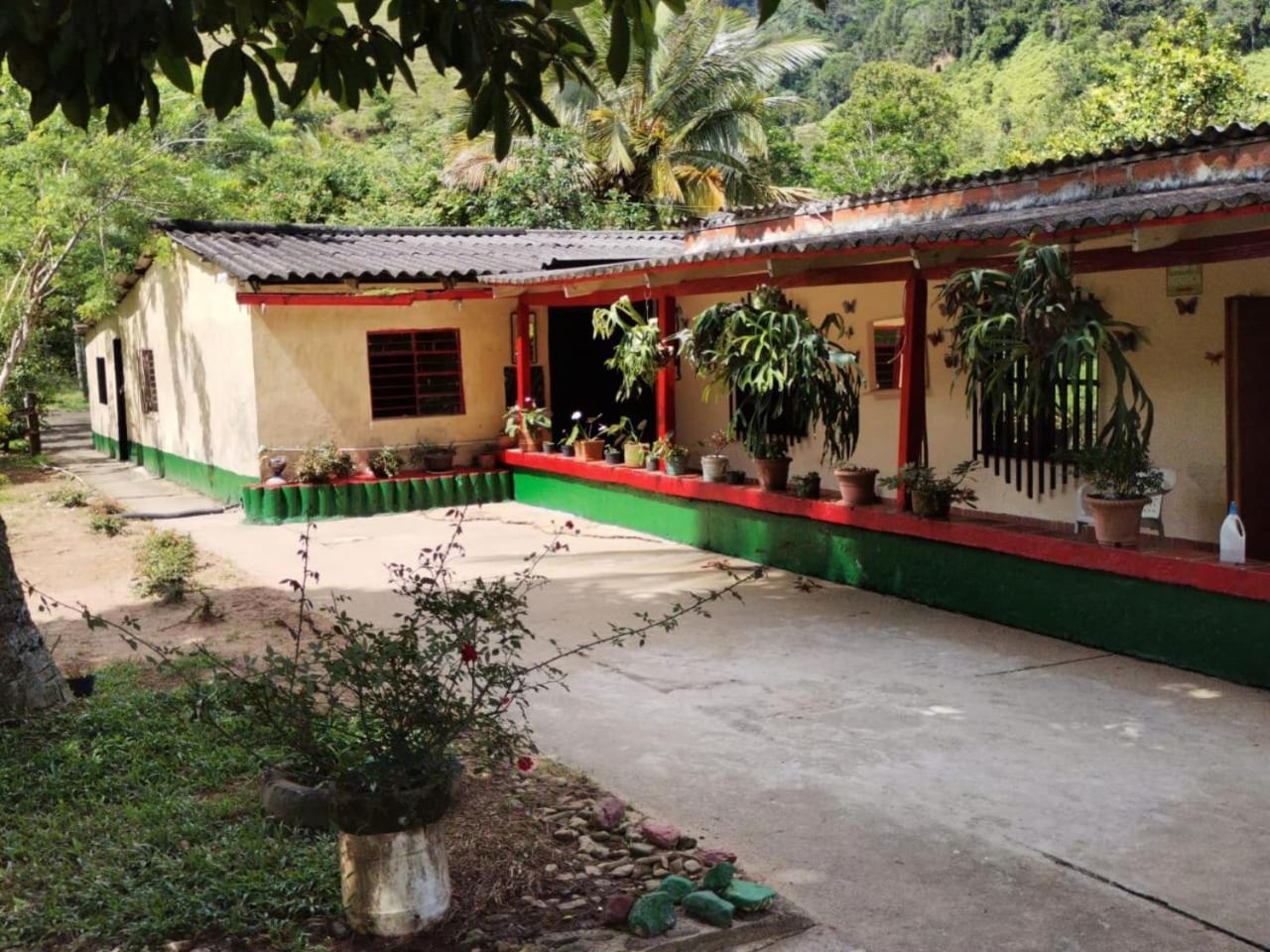 Munay Travel camp