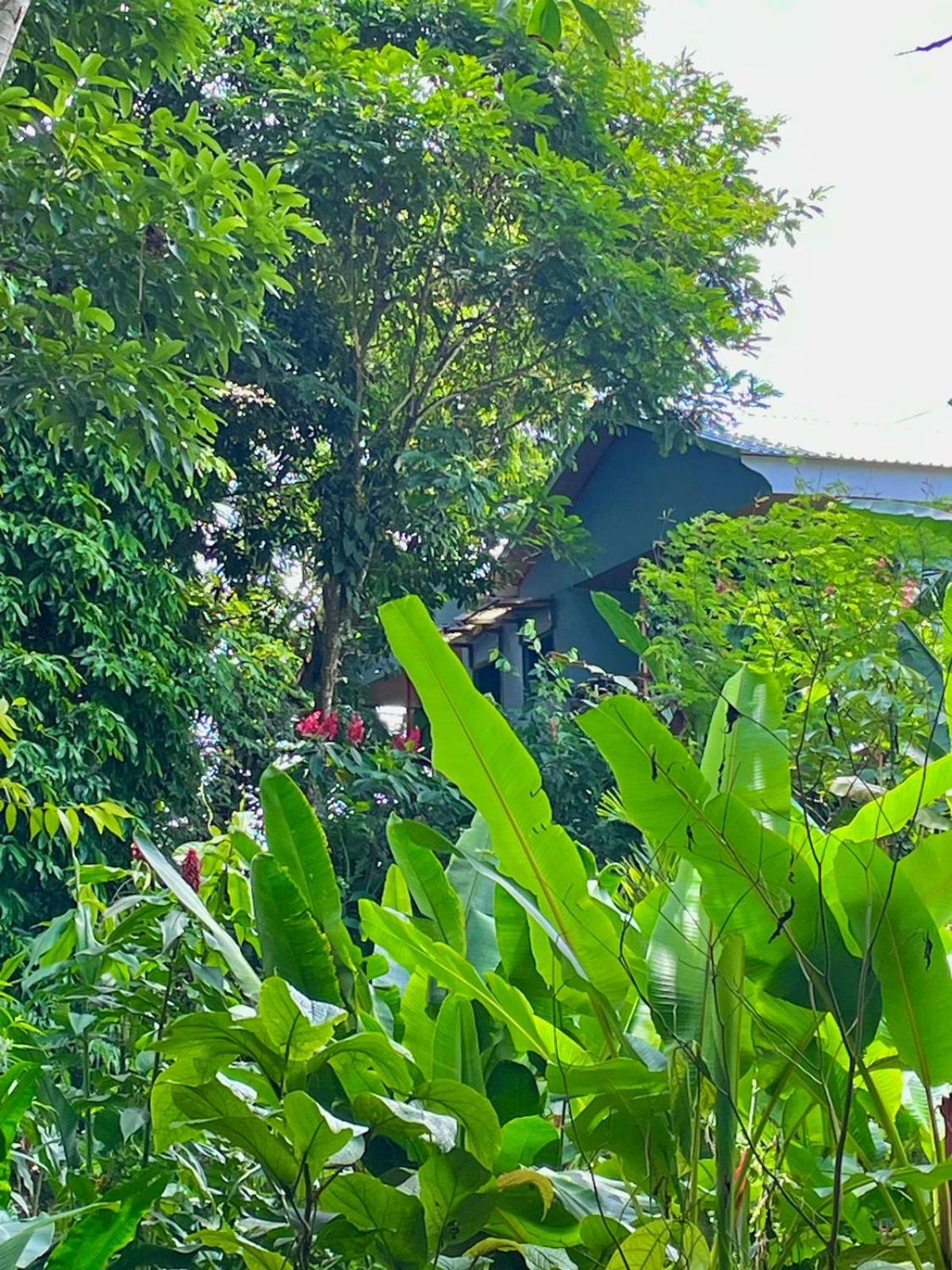 Cabañas el Bosque del Arenal