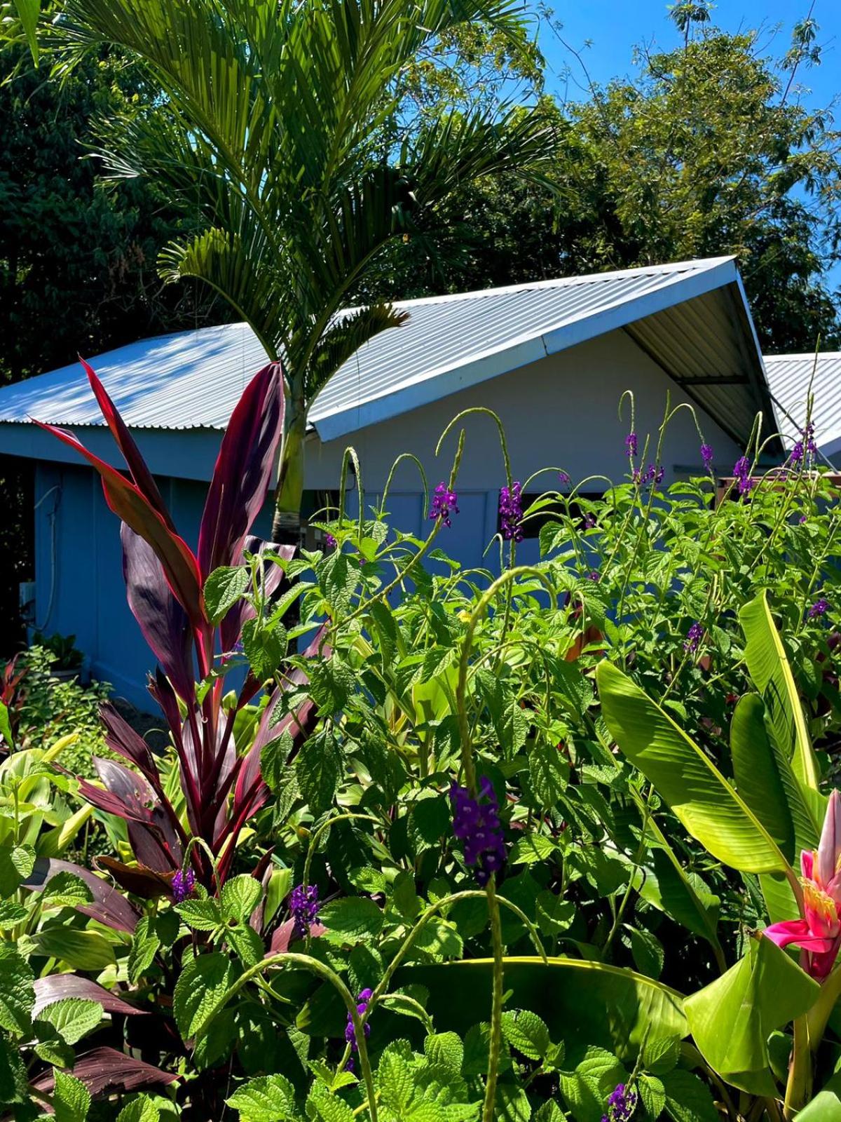 Cabañas el Bosque del Arenal