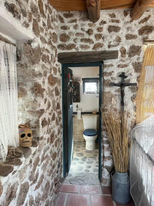 Cabaña Coyote view 4