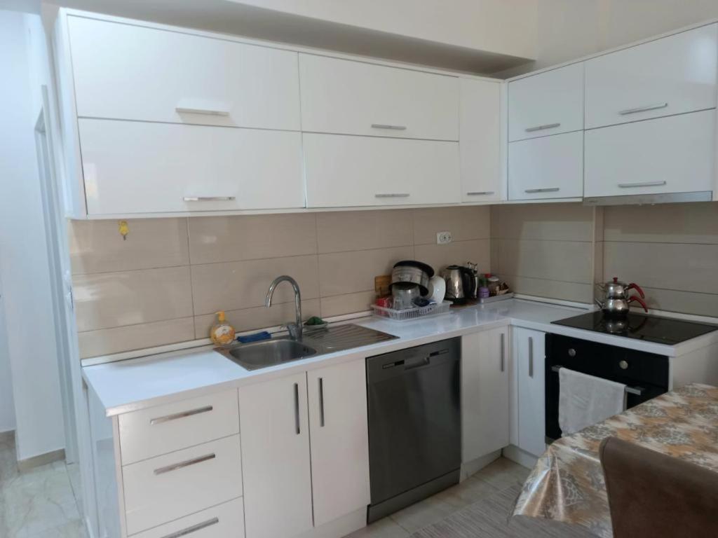 Luxury Apartment in Skopje view 2
