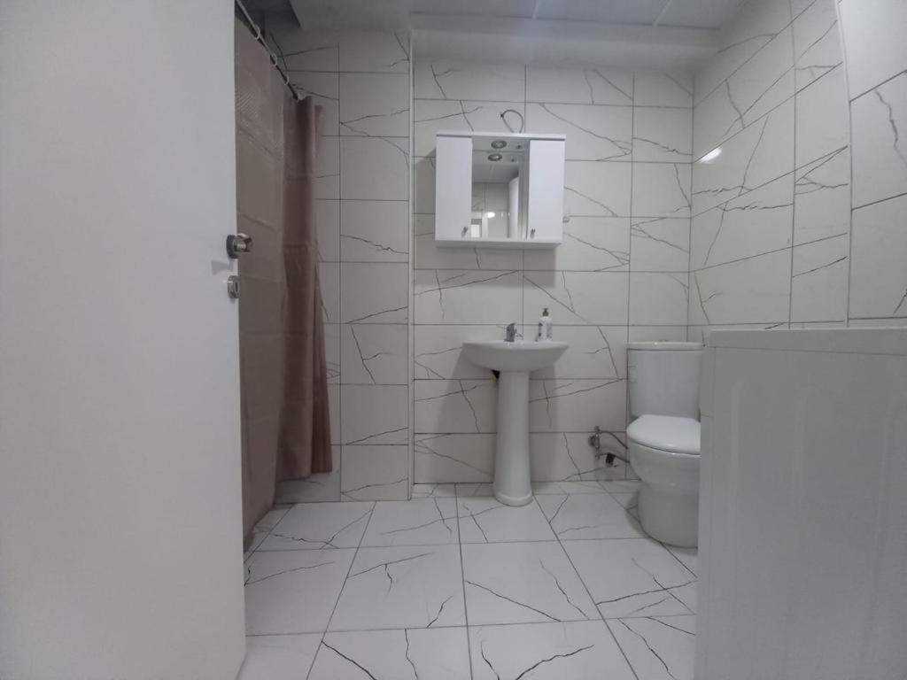 Luxury Apartment in Skopje view 5