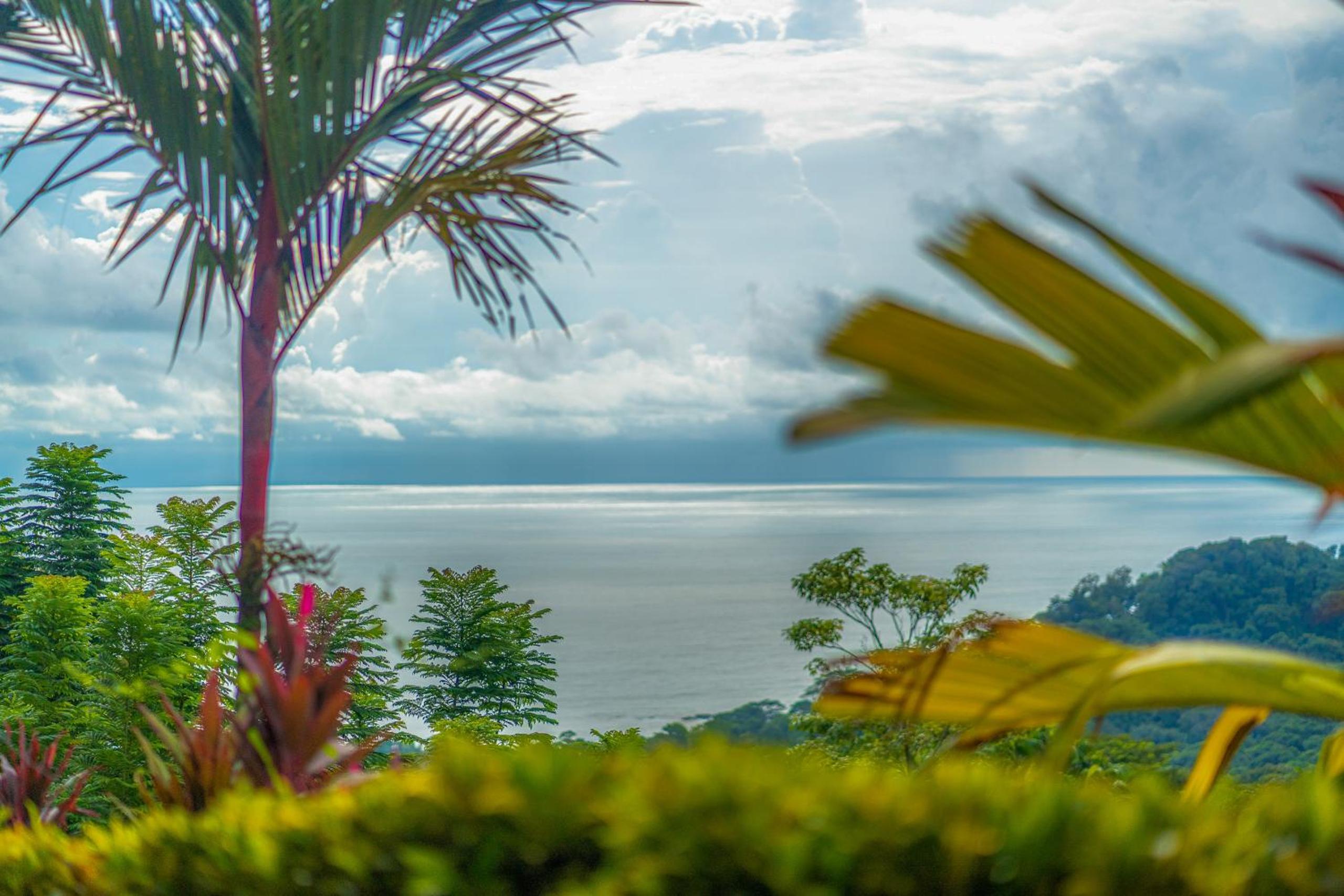 Casa Frenchie with Private Guesthouse - by Pura Villas