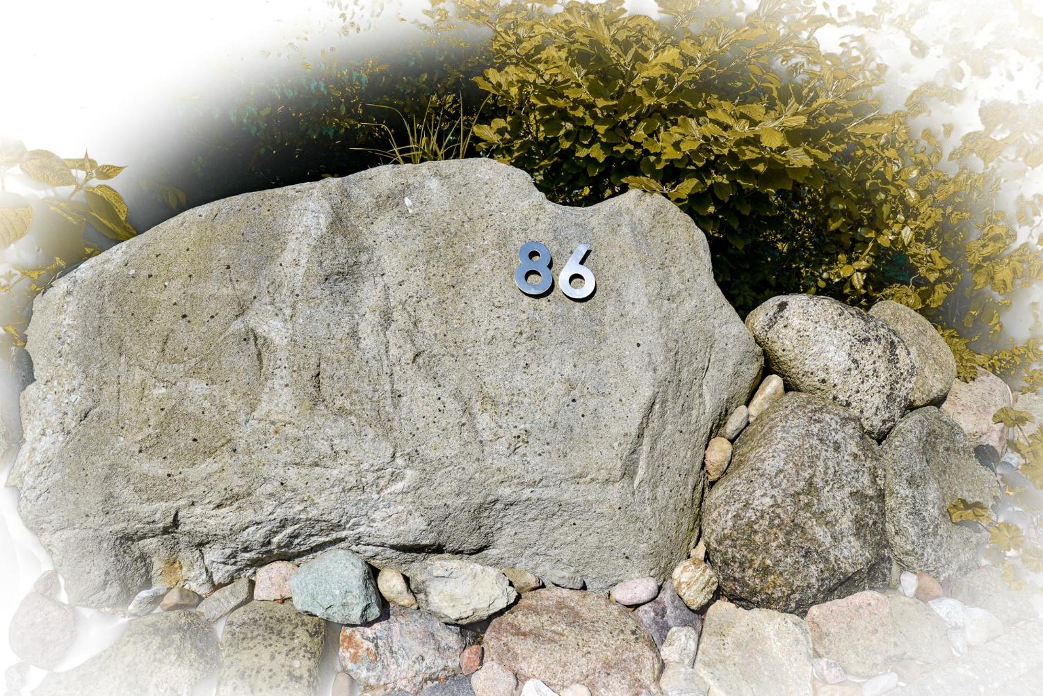 Flockengrund B86B
