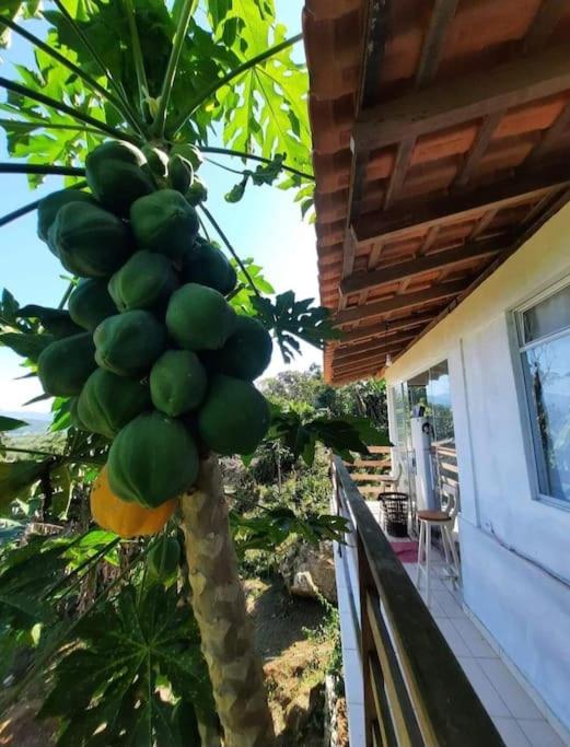 Casa Ártemis Paraty