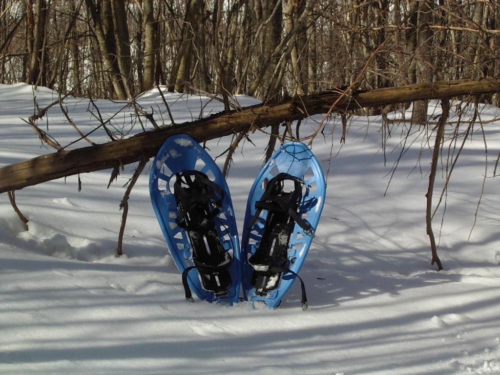 Photo 45