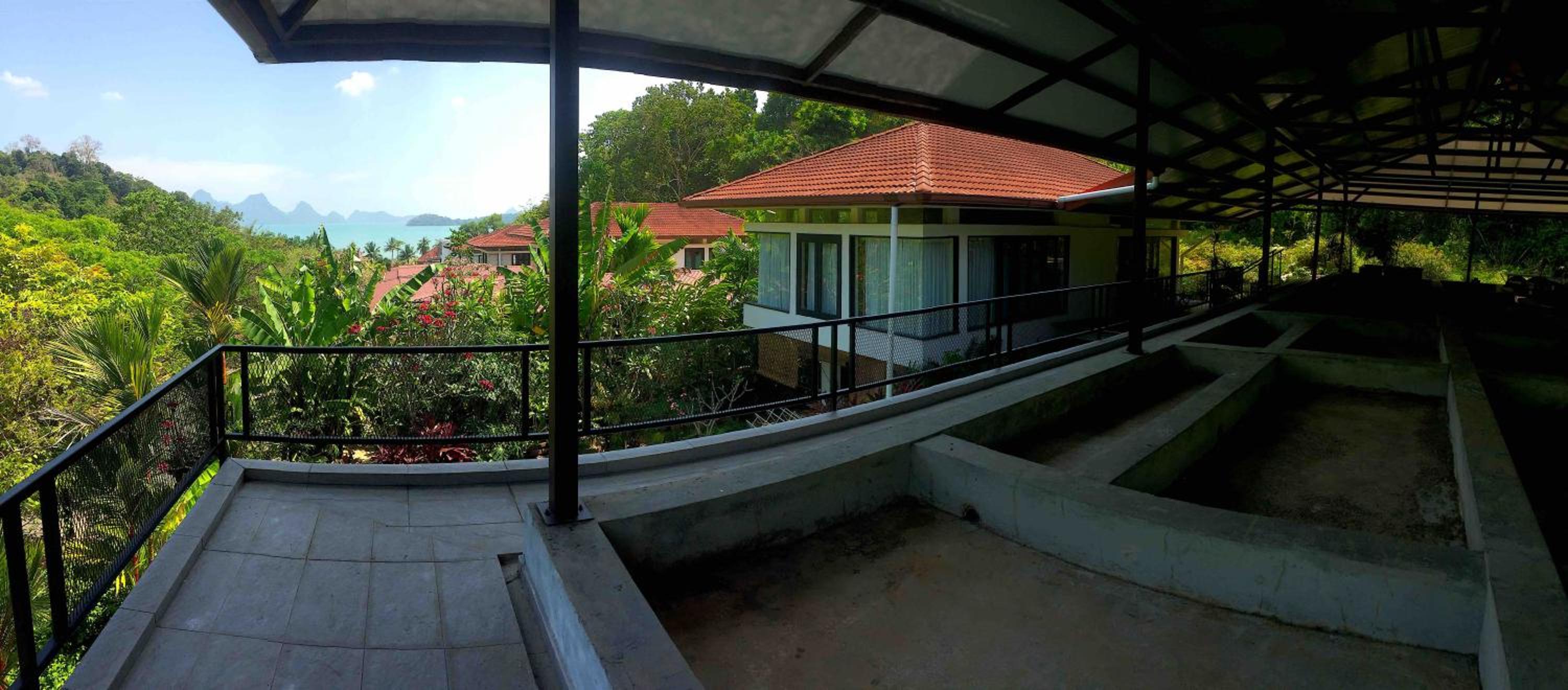 Rumah Singa, Villa 1 Andaman Hills, Langkawi photo 8