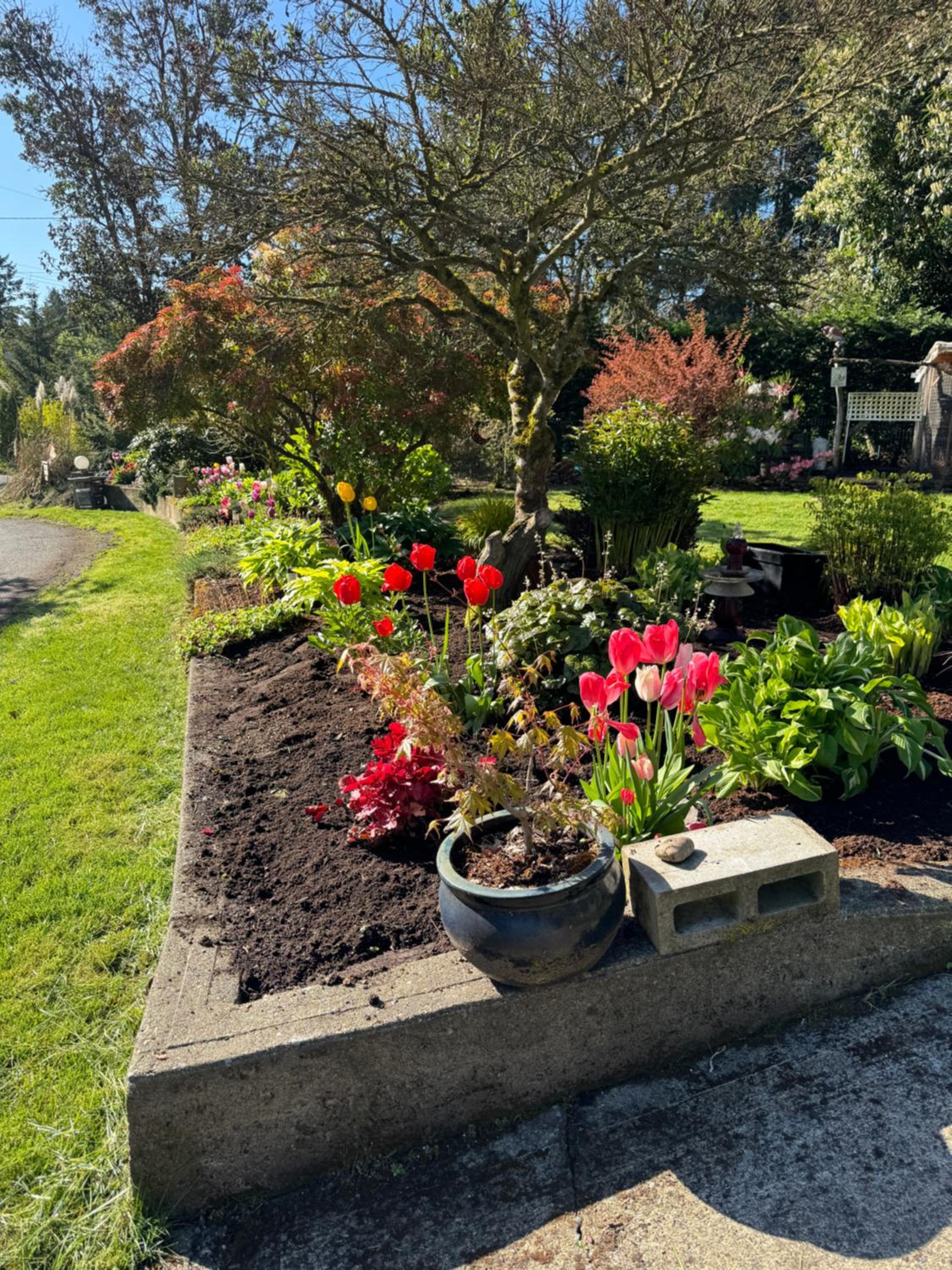 Bayview B&B Garden Suite