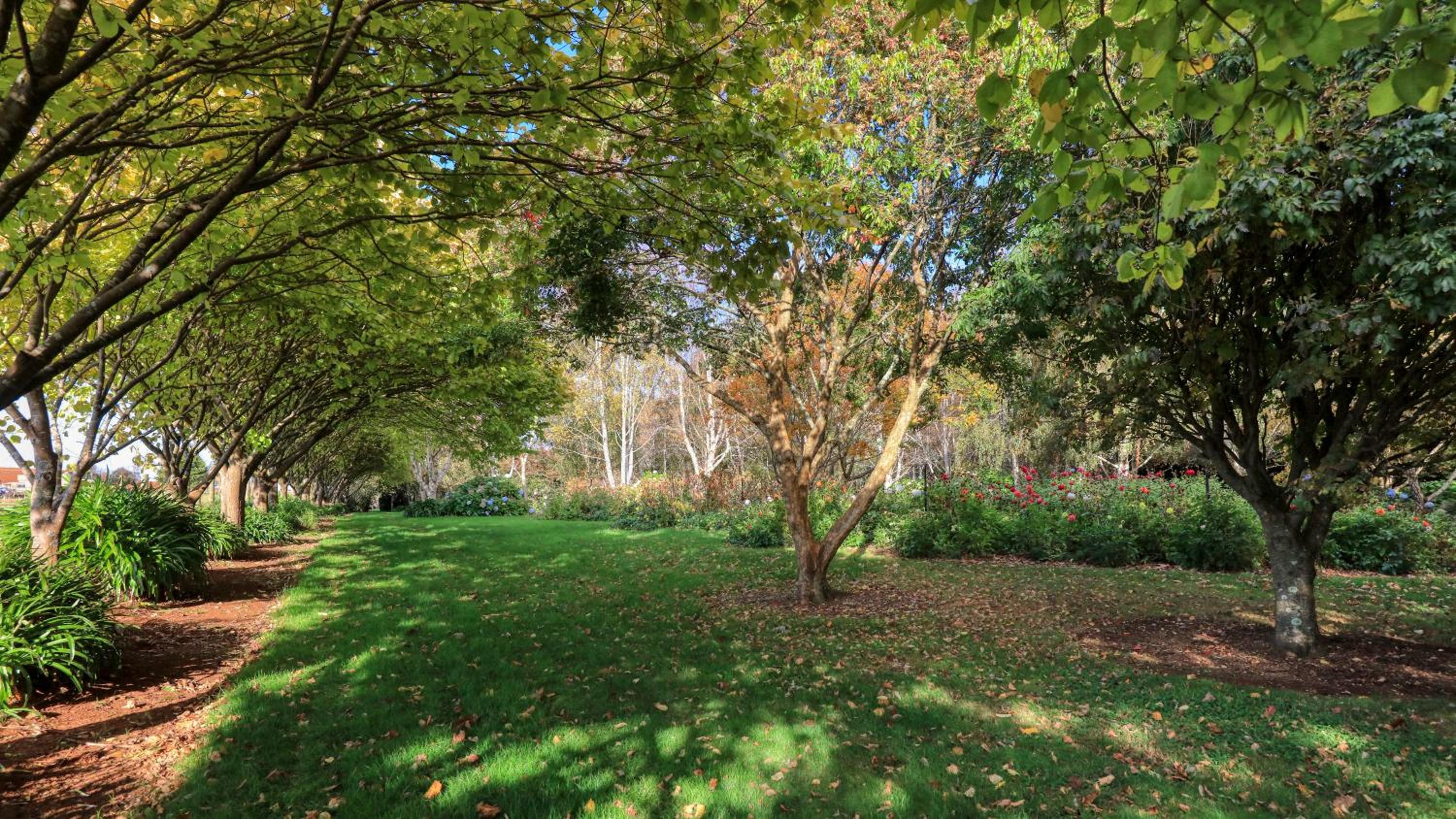 Boat Harbour Garden Cottages