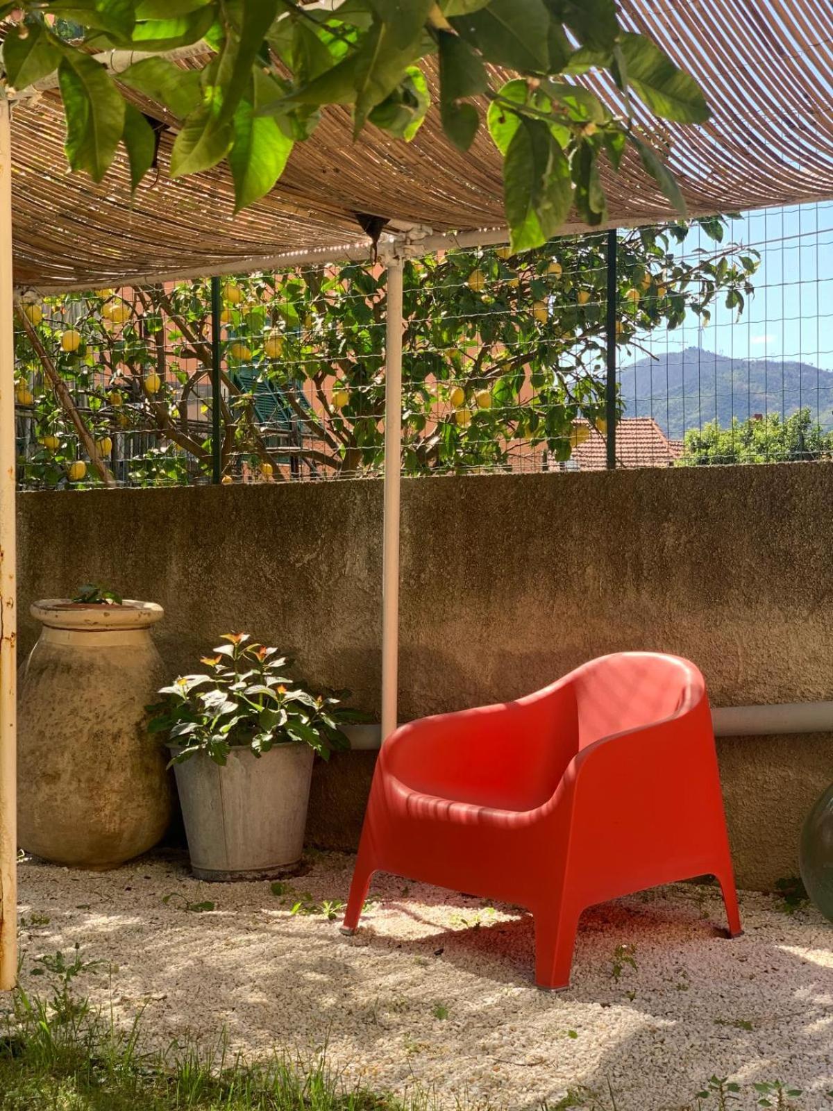 B&B La Magnolia view 4
