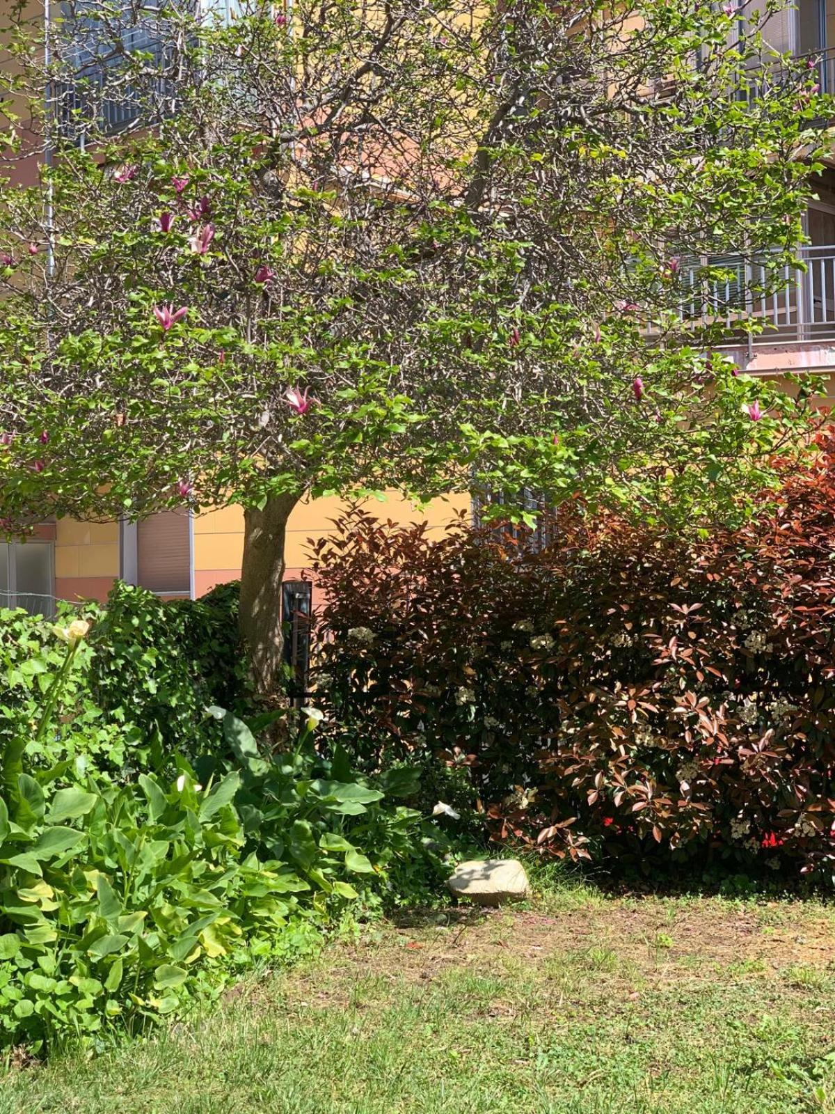 B&B La Magnolia view 2