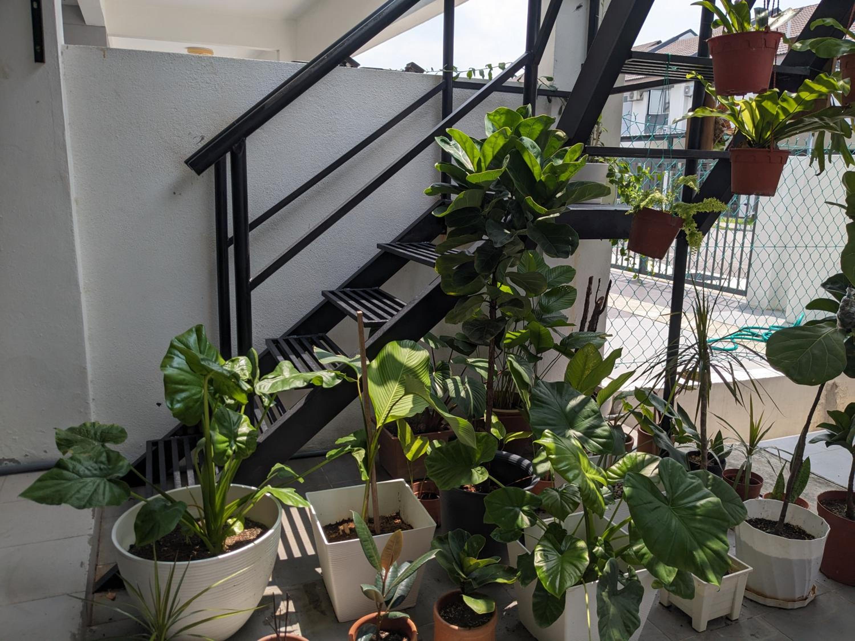 Halaman Homestay, Bandar Mahkota Banting