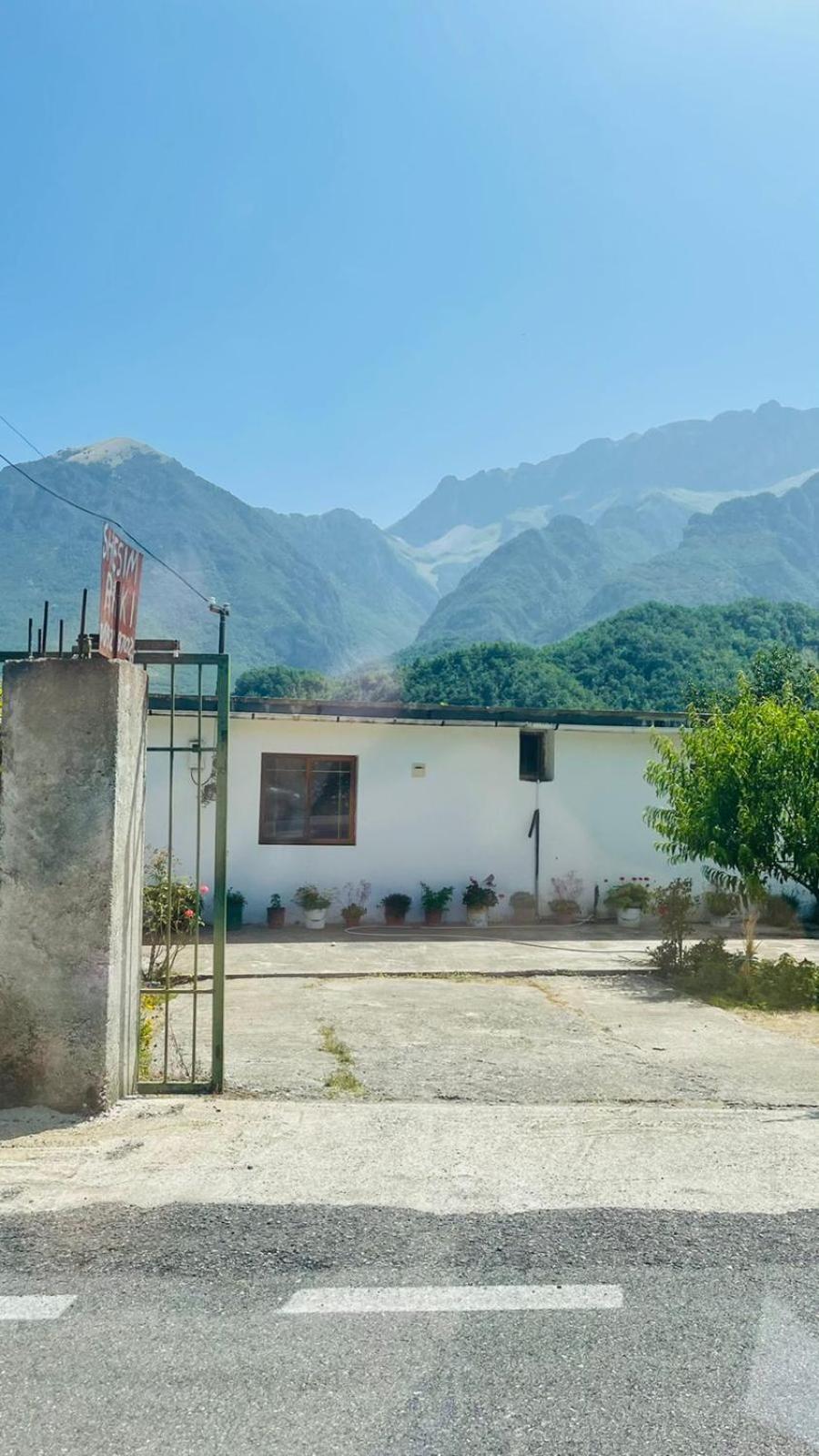 Aleko Guesthouse