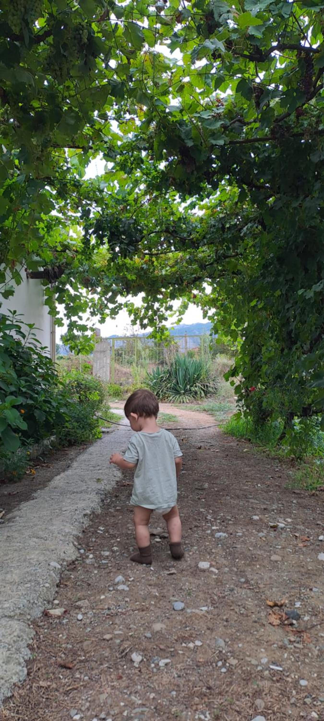 Aleko Guesthouse