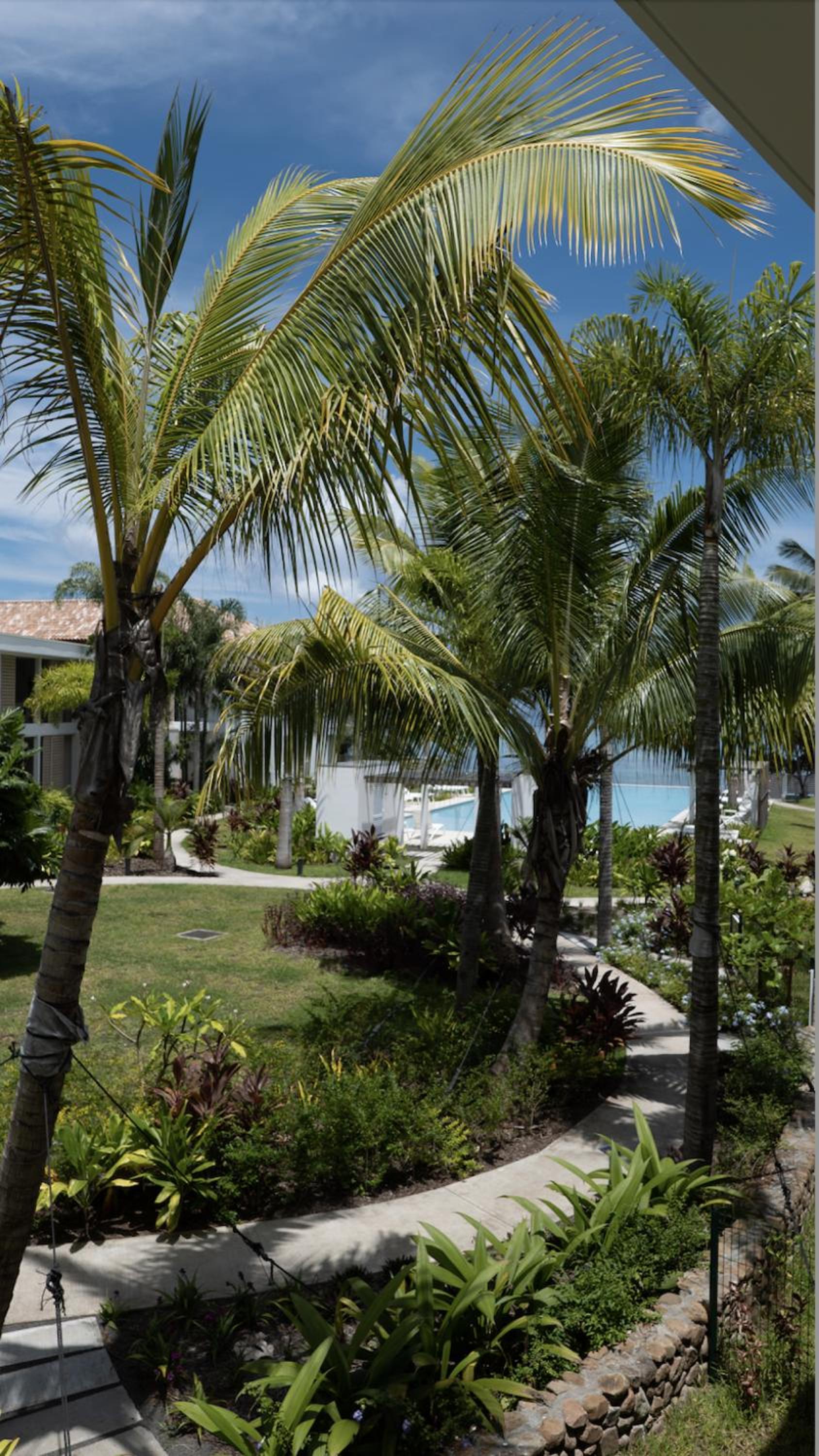 Tahiti Chalala