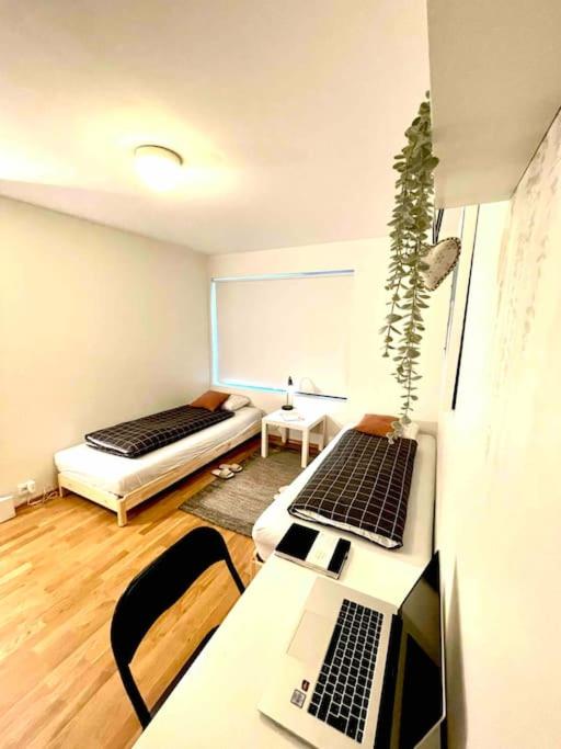 Lovely apartment with private garden and 2 gratis bicycles