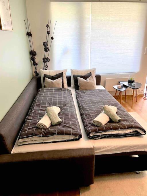 Lovely apartment with private garden and 2 gratis bicycles