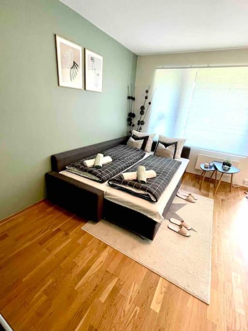 Lovely apartment with private garden and 2 gratis bicycles