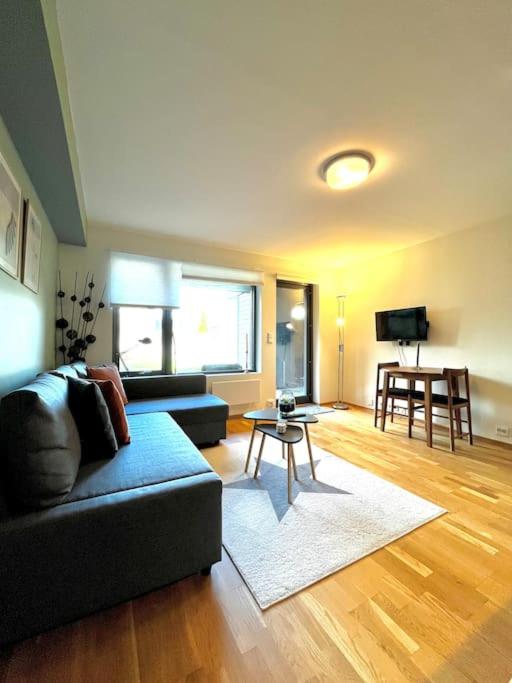 Lovely apartment with private garden and 2 gratis bicycles