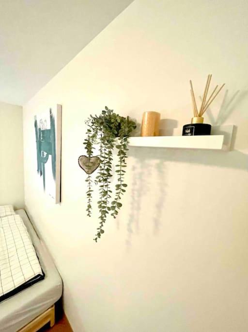 Lovely apartment with private garden and 2 gratis bicycles