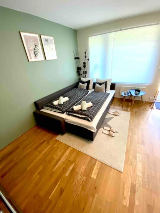 Lovely apartment with private garden and 2 gratis bicycles