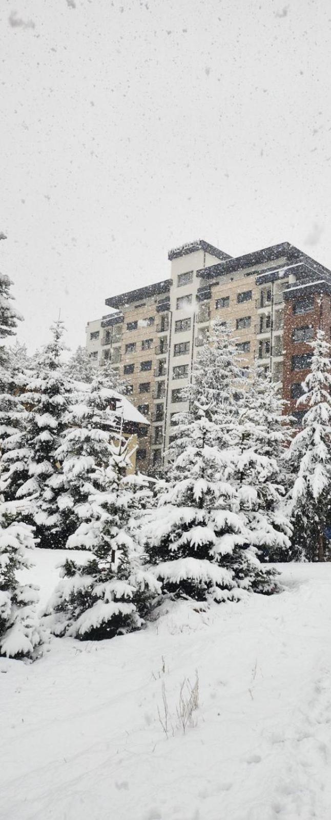 S&M Zlatibor view 5