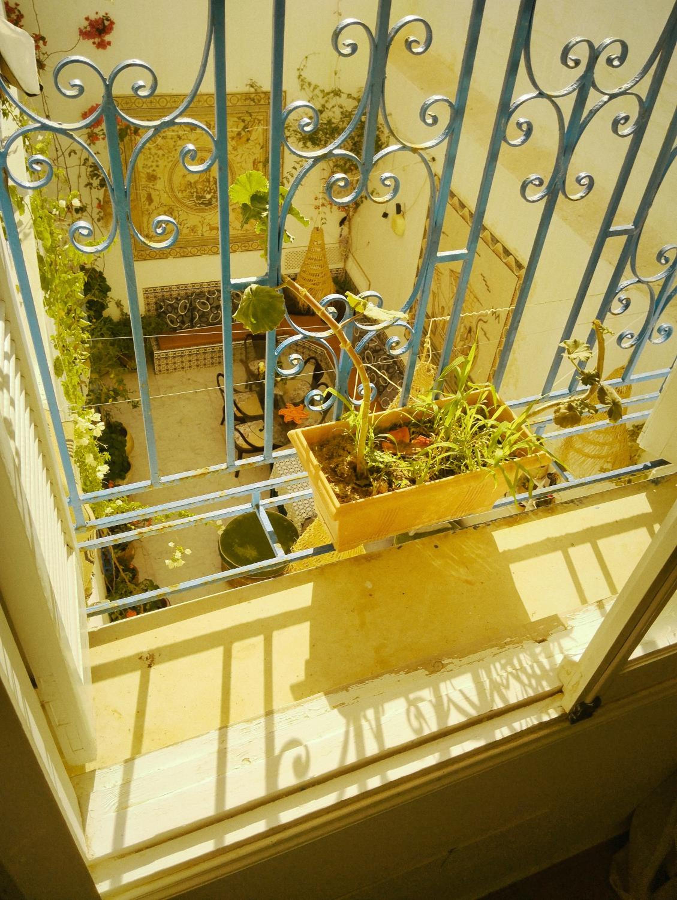 Maison Albatros