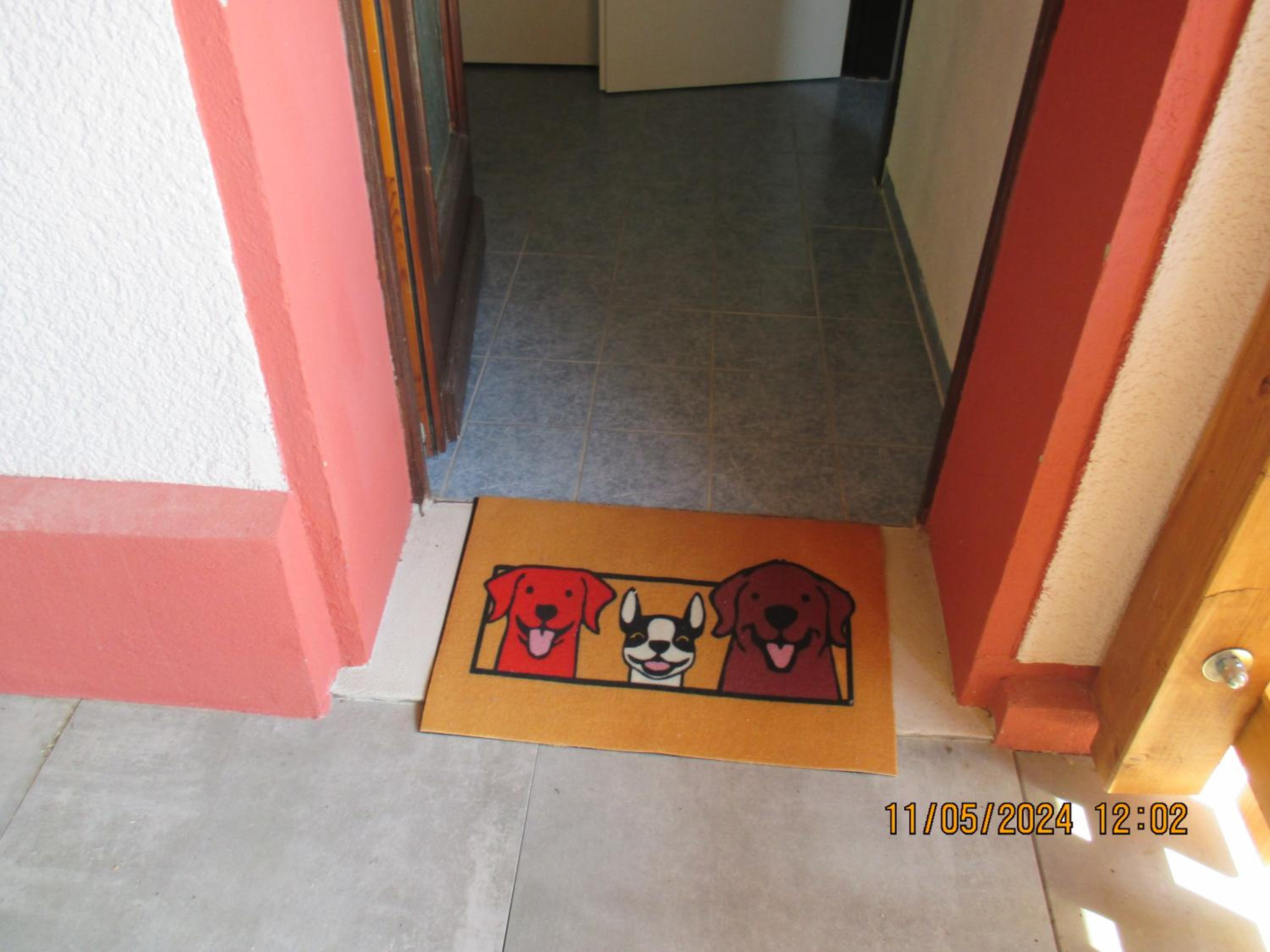 Photo 31