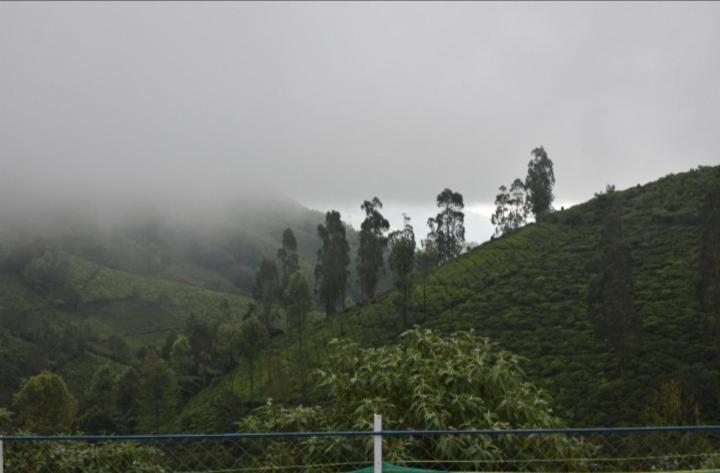DIAMOND HILL VIEW, photo 40