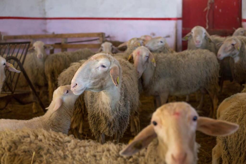 Photo 57