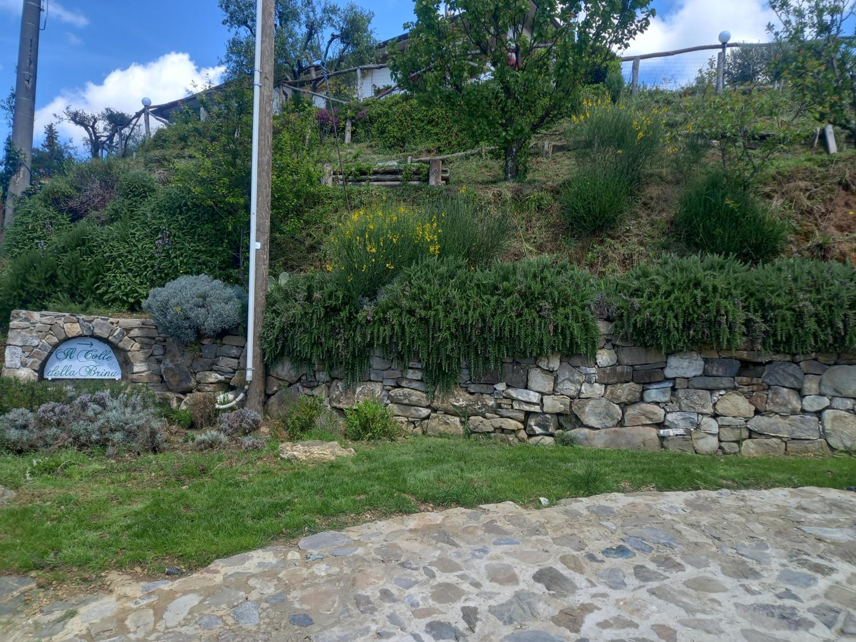 Photo 26