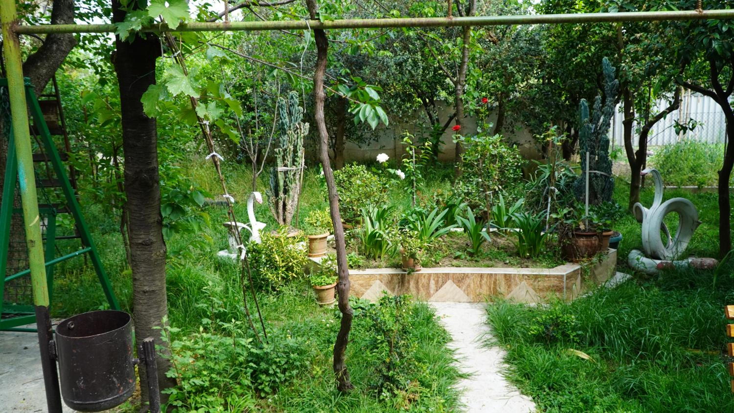 Photo 44