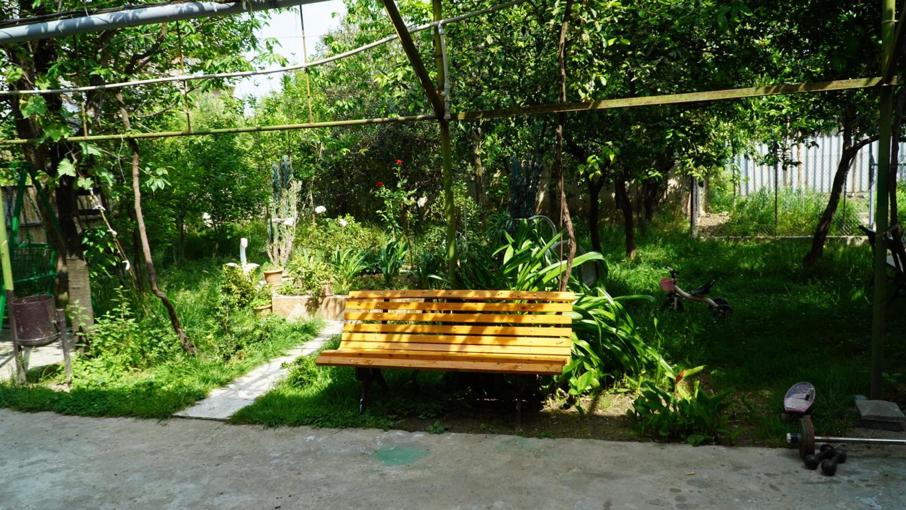 Photo 18