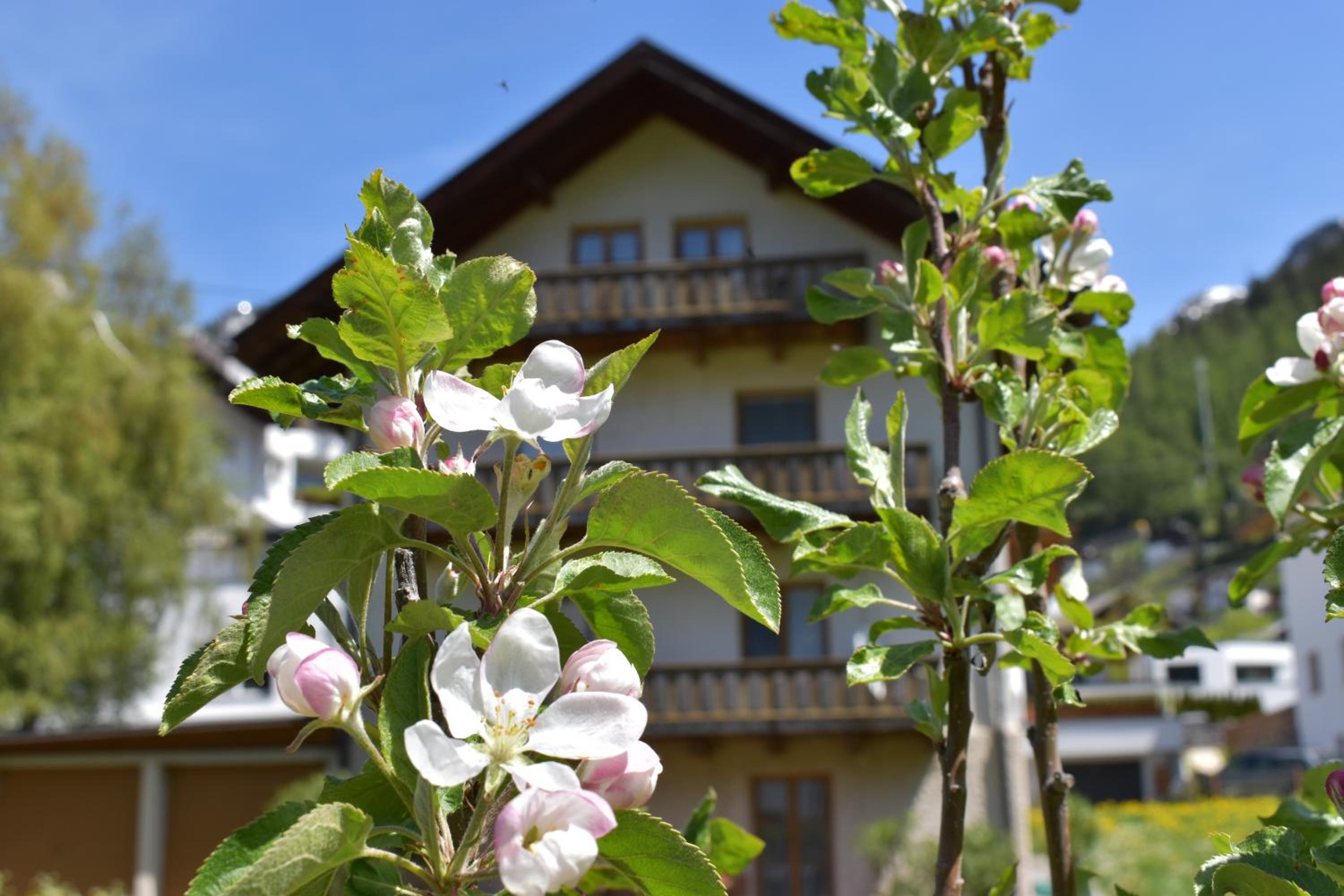 Hirschstube Nauders