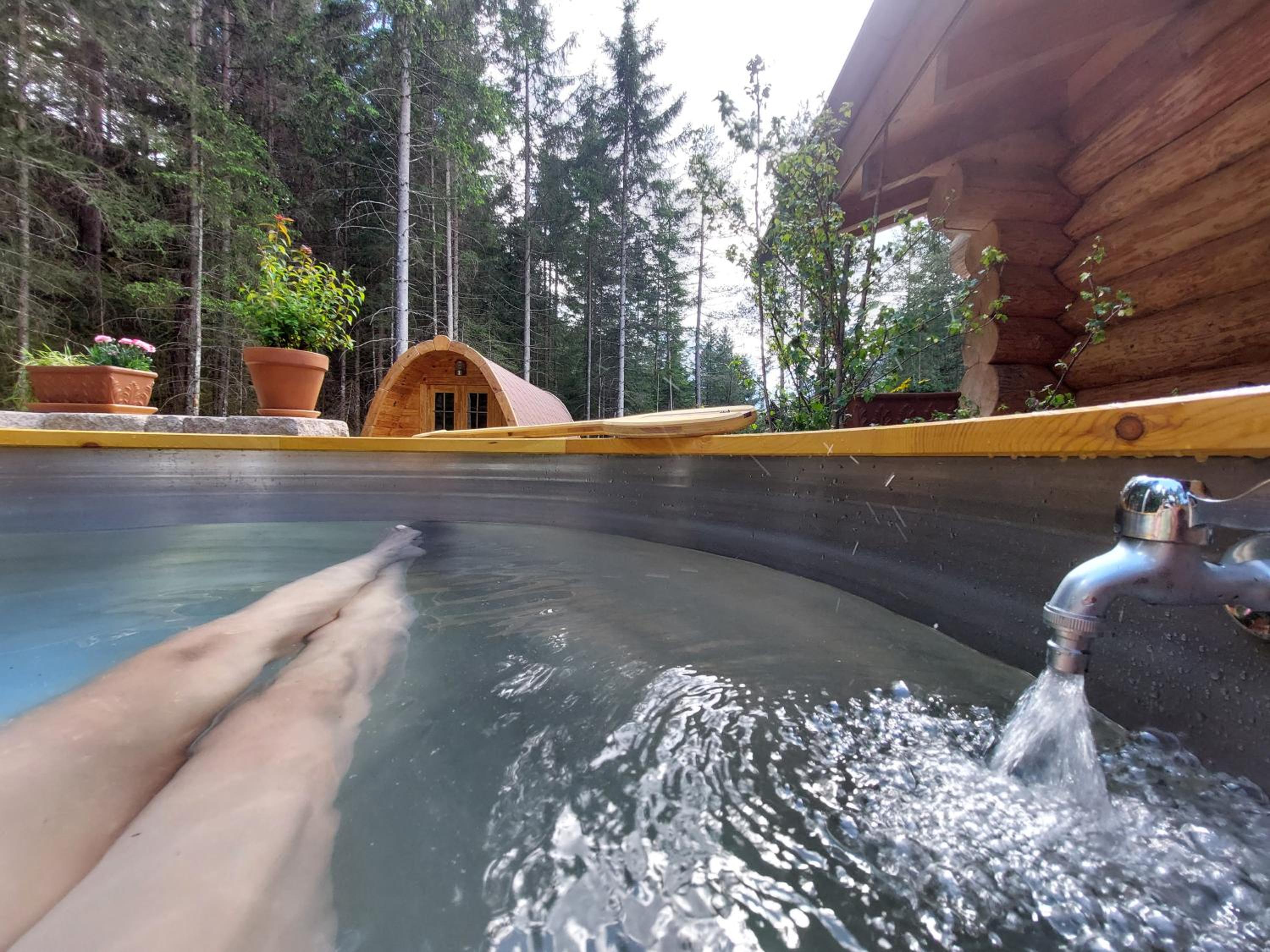 Ferienhaus - Chalet - Lechtraum view 4