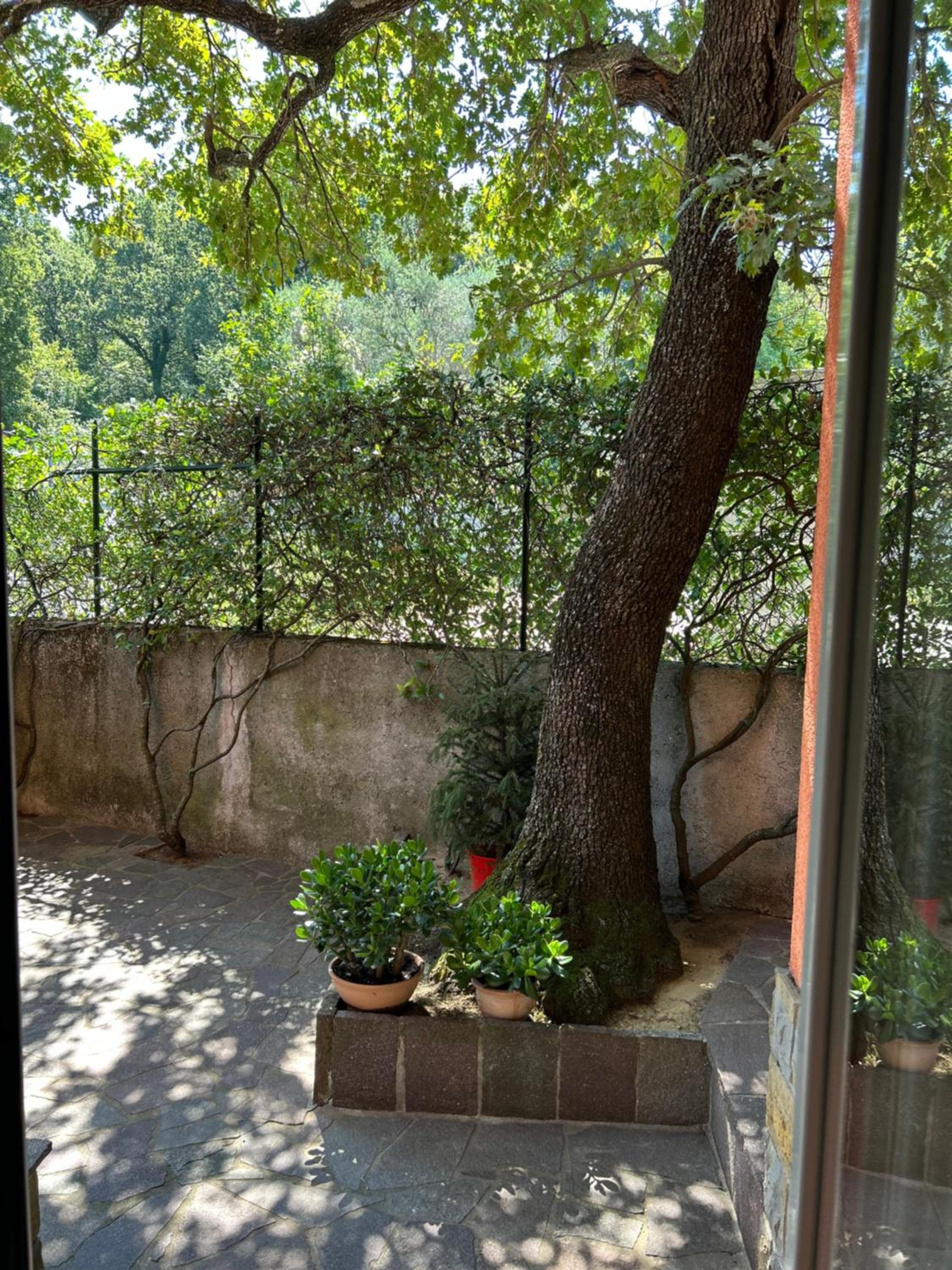 Ai 2 Olmi - monolocali nel verde view 4