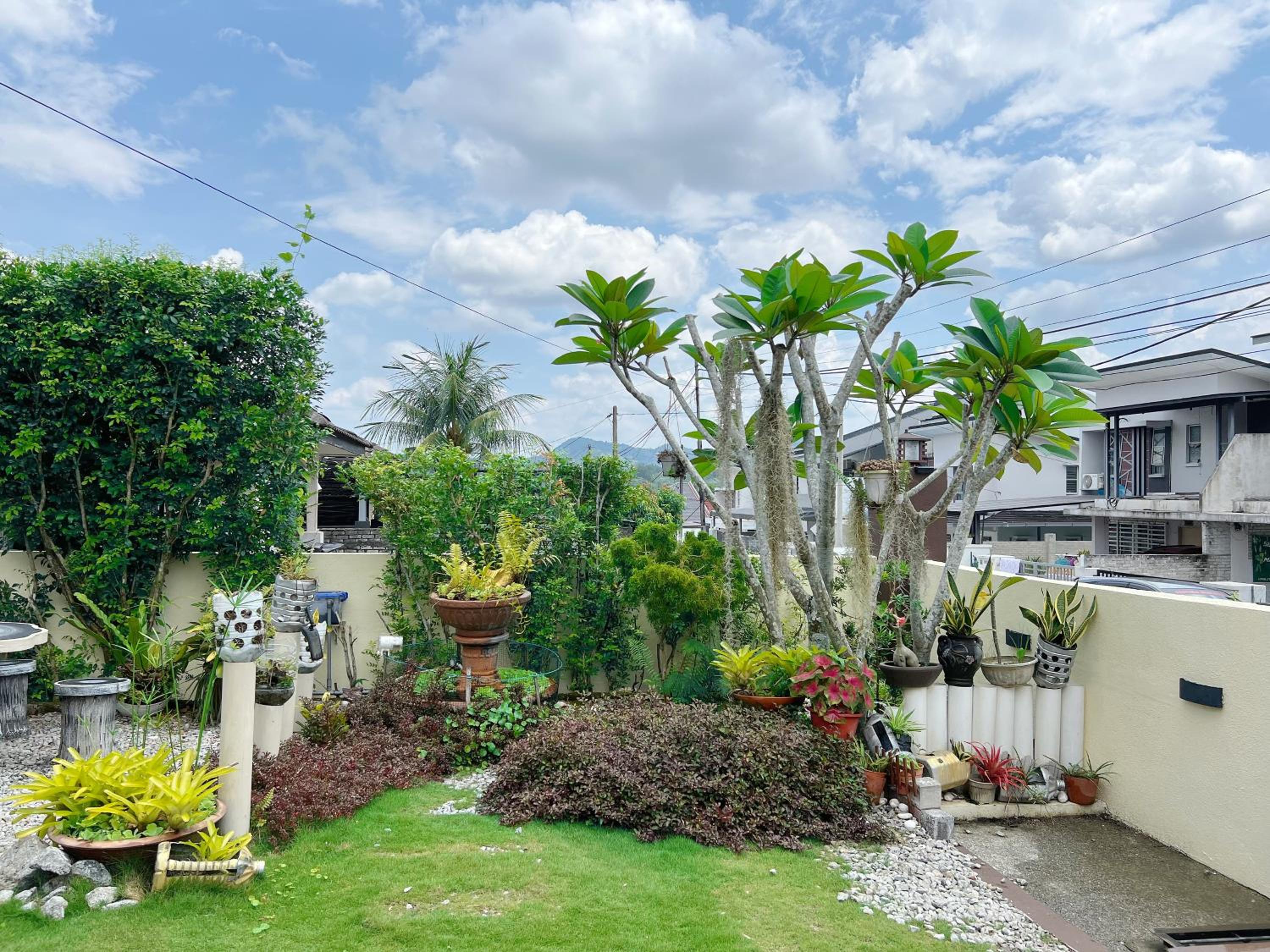Leisure Homestay photo 2