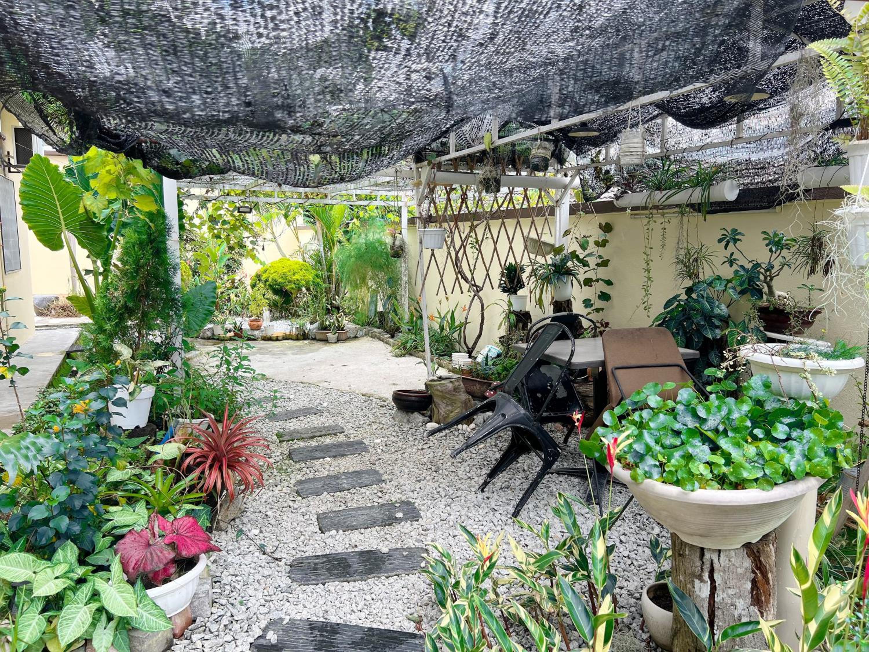 Leisure Homestay photo 5